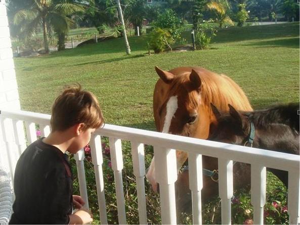 Riders Resort Kulai Ngoại thất bức ảnh
