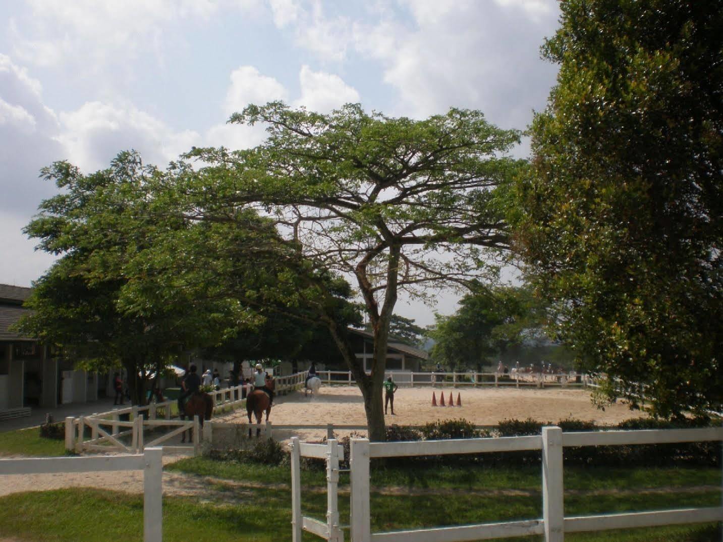 Riders Resort Kulai Ngoại thất bức ảnh